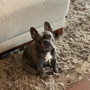 Meet your Posher, Chelsea